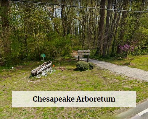 Chesapeake Arboretum